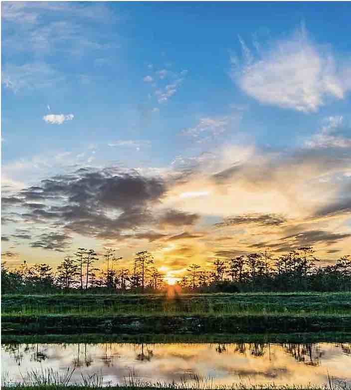 Everglades National Park in Florida