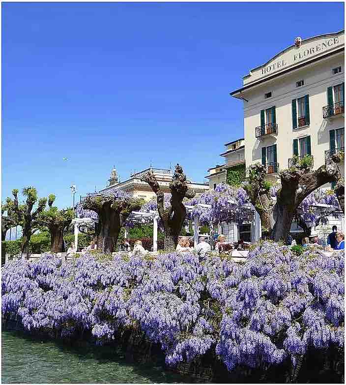 Hotel Florence